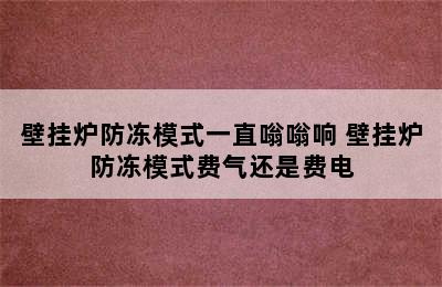 壁挂炉防冻模式一直嗡嗡响 壁挂炉防冻模式费气还是费电